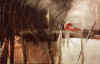 lacerazione100x150.jpg (338412 byte)