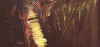 sonorit�60x120.jpg (226644 byte)